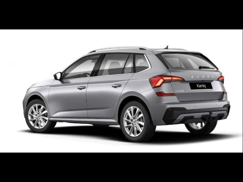 Skoda Kamiq Family - 4