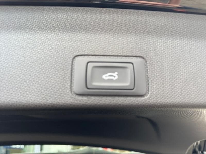 Cupra Terramar Plug-in hybride, 272CV, caméra 360, toit ouvrant - 28