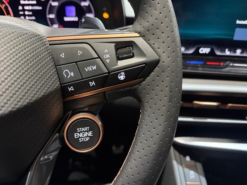 Cupra Terramar Business - 24