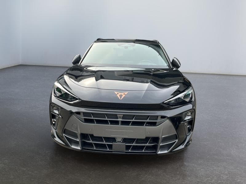Cupra Terramar Business Performance - 2
