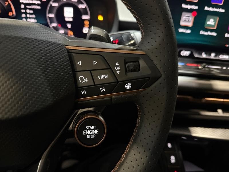 Cupra Terramar Business - 24