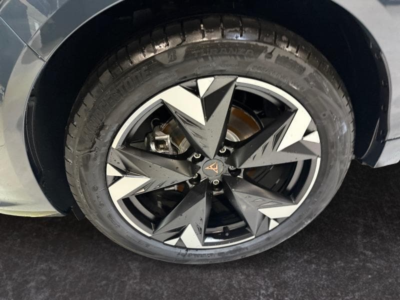 Cupra Terramar Business - 9