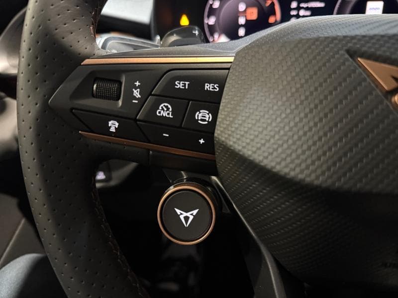 Cupra Terramar Business - 23