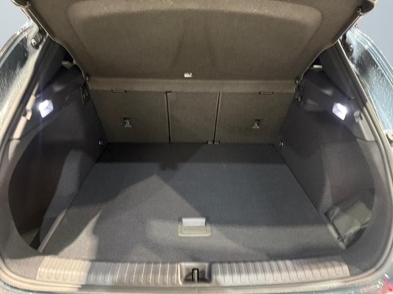 Cupra Terramar Business - 29