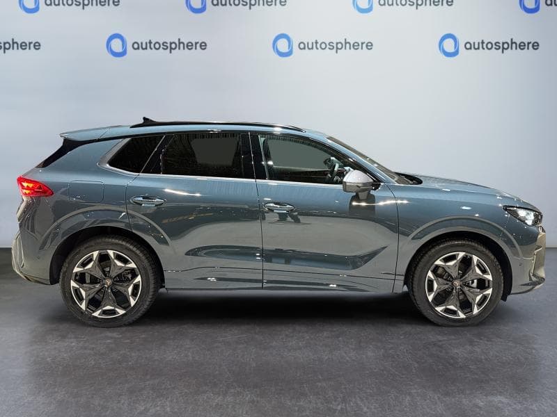 Cupra Terramar Business - 4