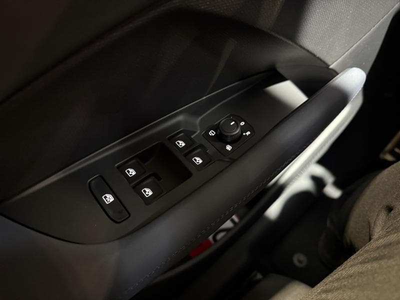 Cupra Terramar Business - 28