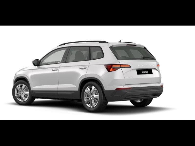 Skoda Karoq Family - 3