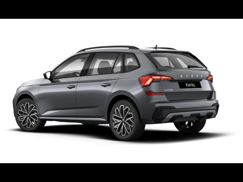 Skoda Kamiq Family - 3
