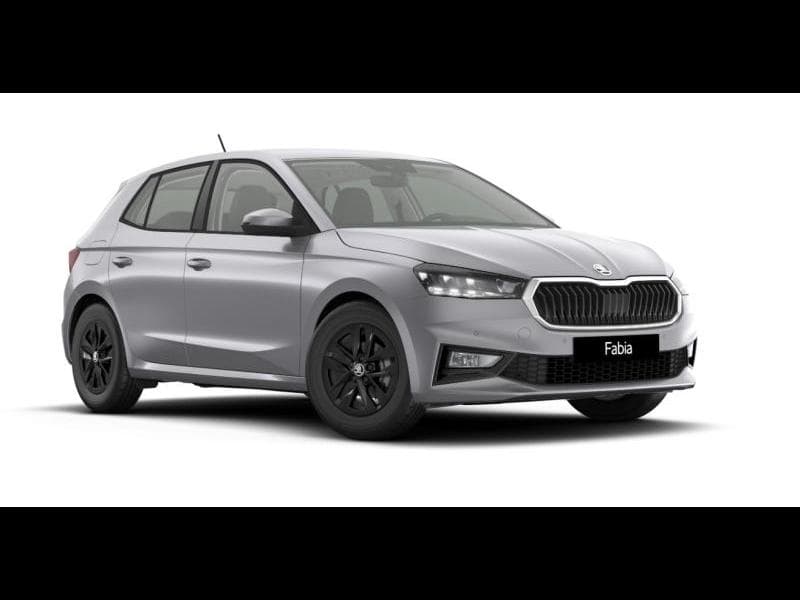 Skoda Fabia Family - 1