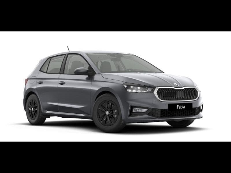 Skoda Fabia Family - 1