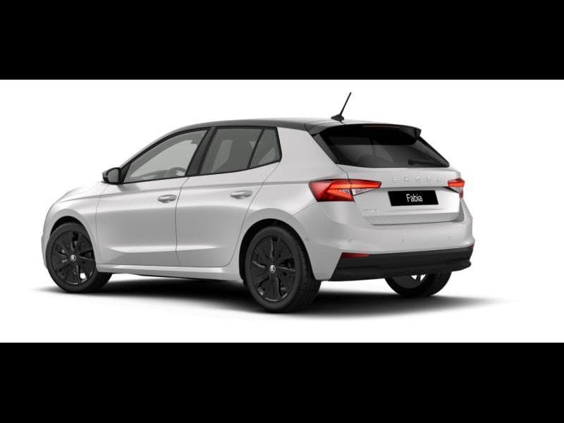 Skoda Fabia Family - 3