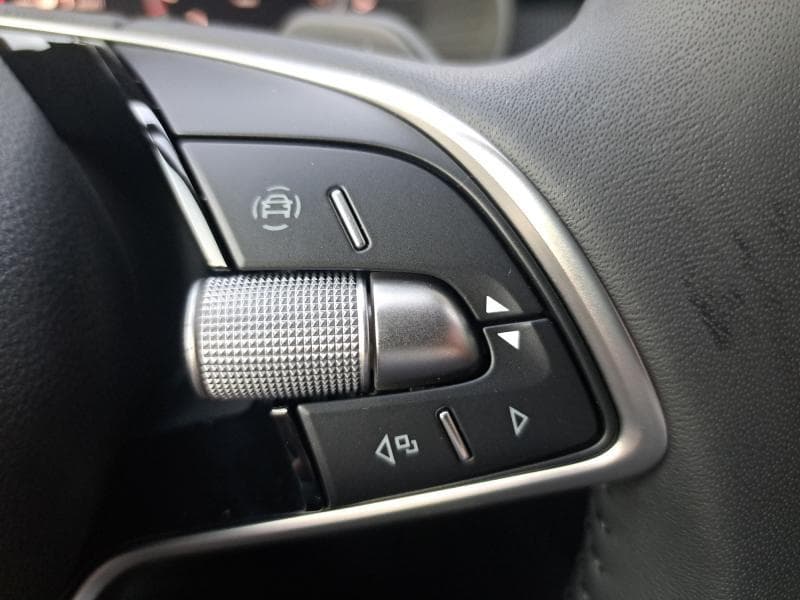 Skoda Scala Family | 1.0 TSI 115cv | Carplay | Camera | GPS | Led Matrix - 19