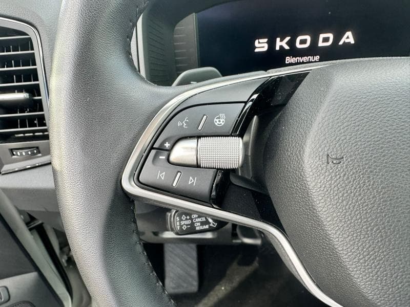 Skoda Karoq Selection | 2.0 TDI 150CH | Boite Auto | App Connect | Clim Auto | Angle Mort | - 18