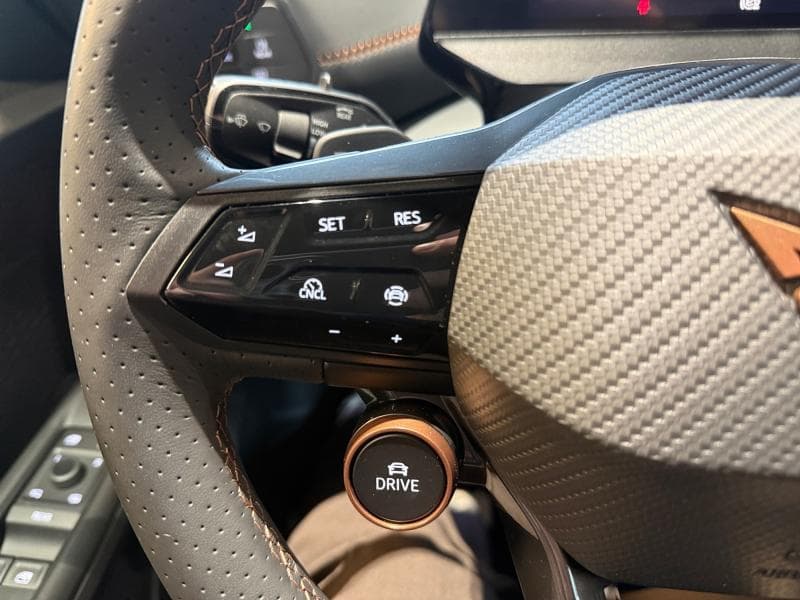 Cupra Born VZ - 17
