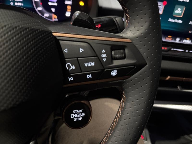 Cupra Terramar Impulse - 18
