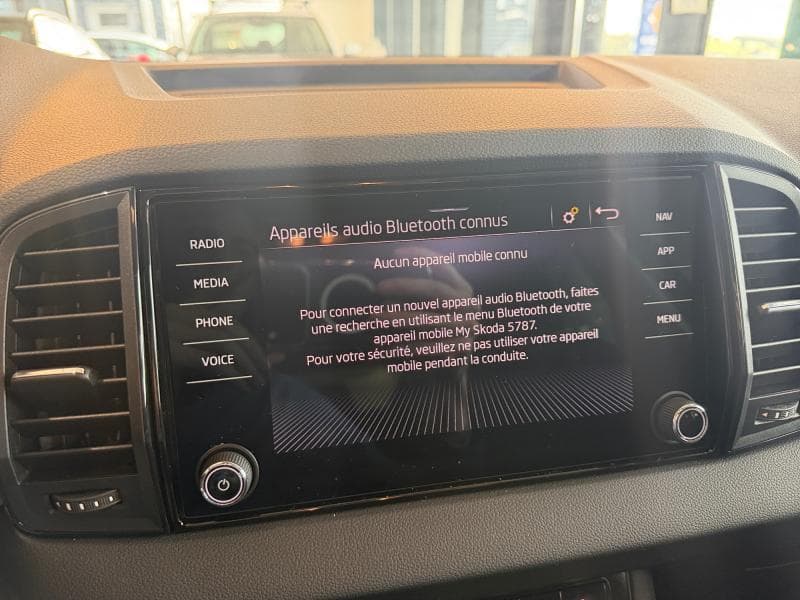 Skoda Karoq Family 1.5 TSI 150cv DSG7 - 17