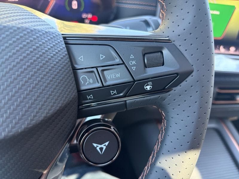Cupra Born Corporate Plus - 18