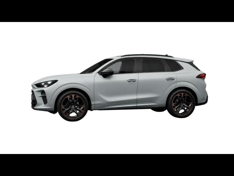 Cupra Terramar IMPULSE PLUS - 9