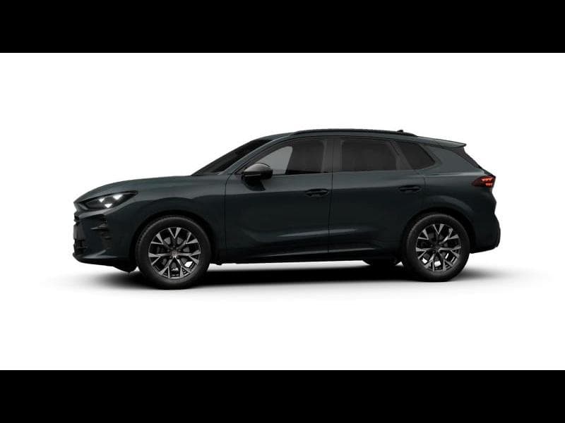 Cupra Terramar IMPULSE - 4
