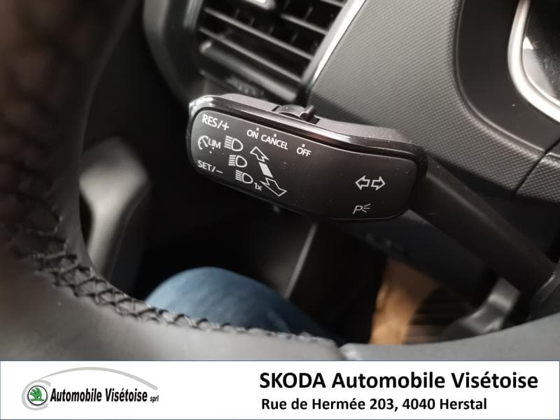 Skoda Fabia Ambition - 14