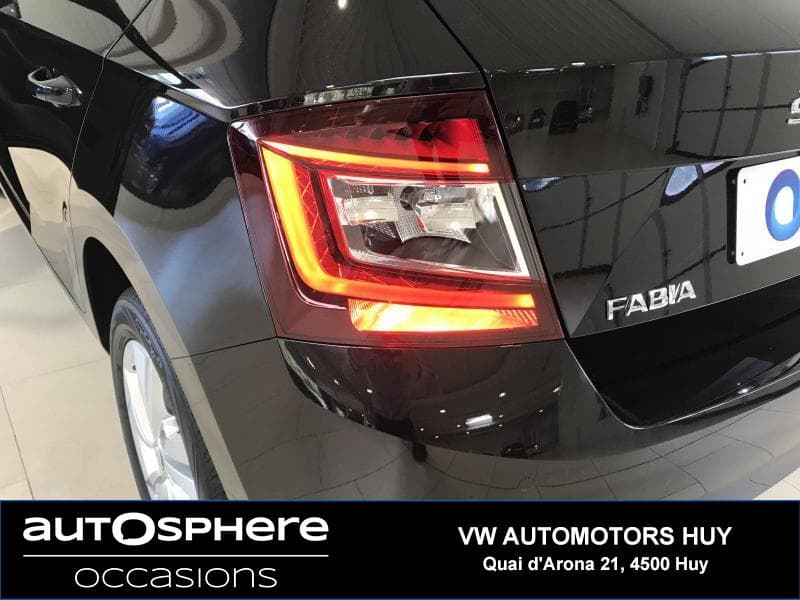 Skoda Fabia Park Pilot/AC - 19