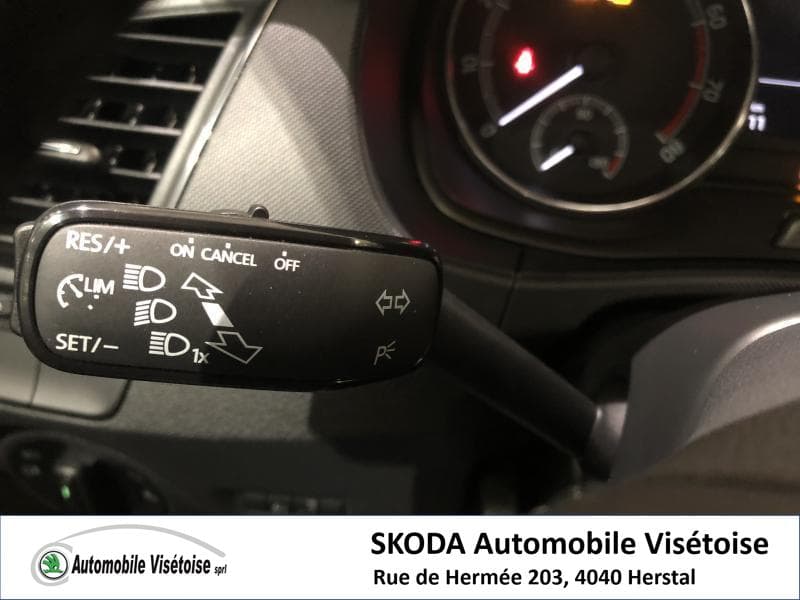 Skoda Fabia III Ambition - 13