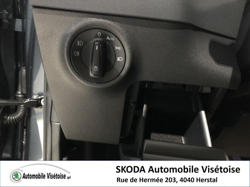 Skoda Karoq Ambition - 11