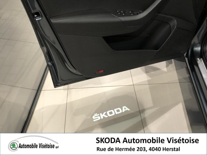 Skoda Karoq Ambition - 10