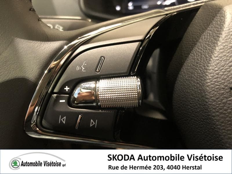 Skoda Karoq Ambition - 14