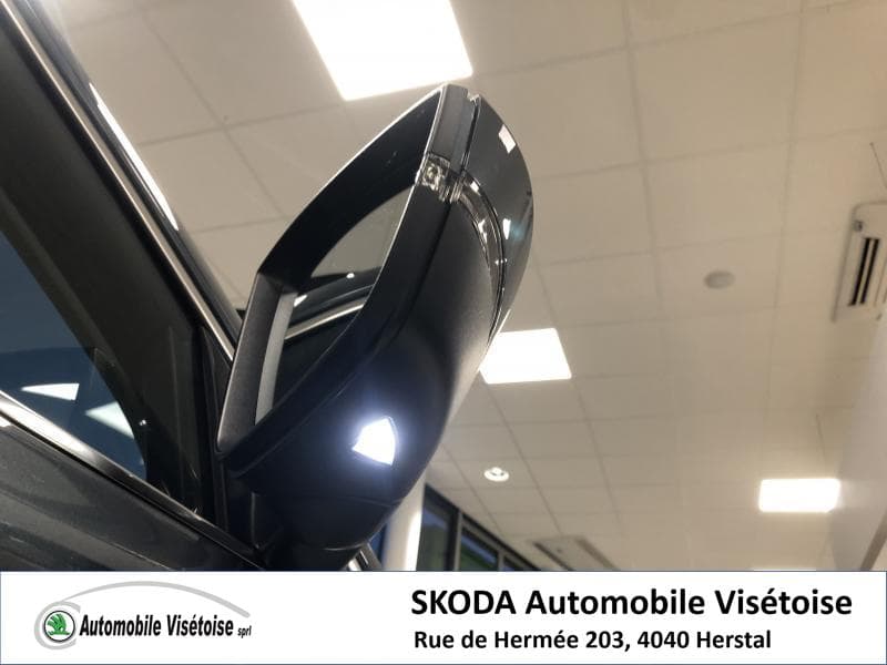 Skoda Karoq Ambition - 8