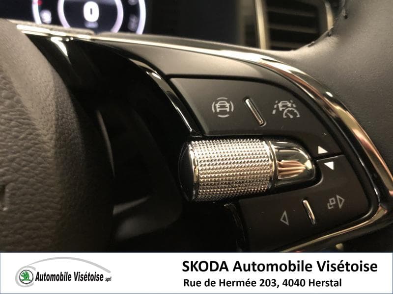 Skoda Kodiaq Style - 19