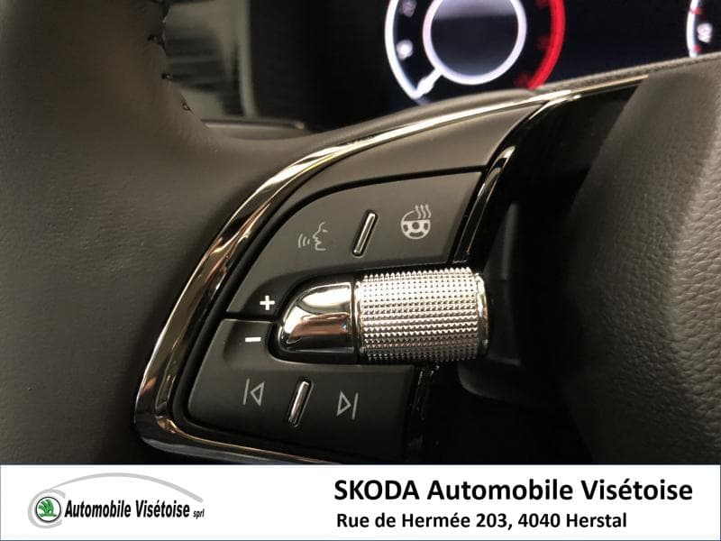 Skoda Kodiaq Style - 18