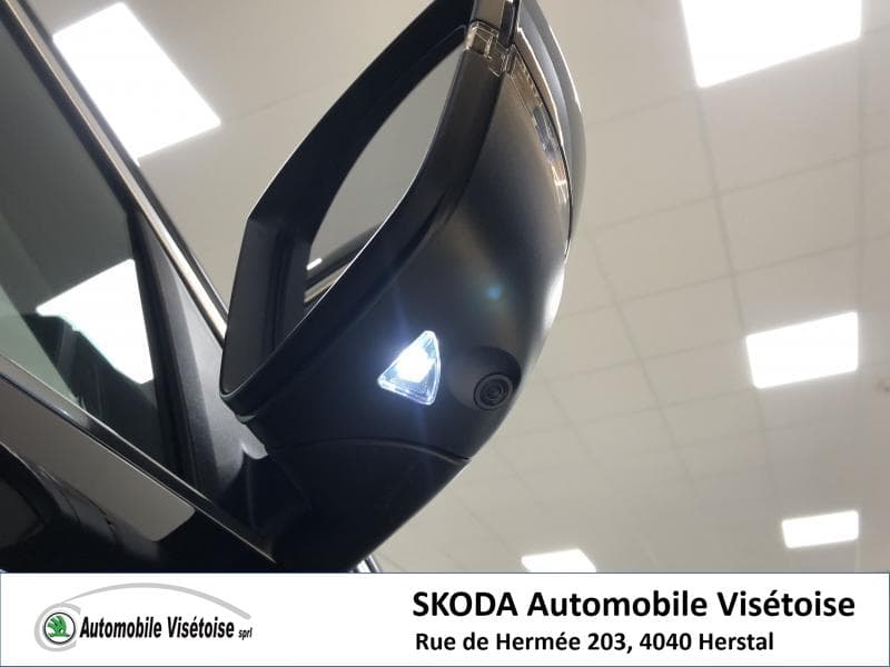 Skoda Kodiaq Style - 10