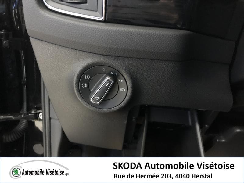Skoda Kodiaq Style - 15