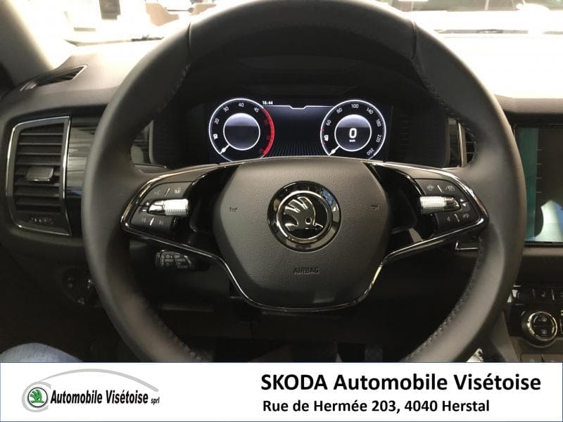 Skoda Kodiaq Style - 16