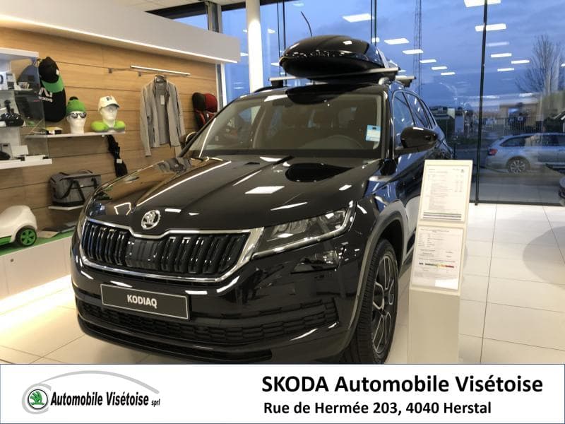 Skoda Kodiaq Style - 4