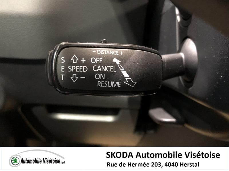 Skoda Kodiaq Style - 21