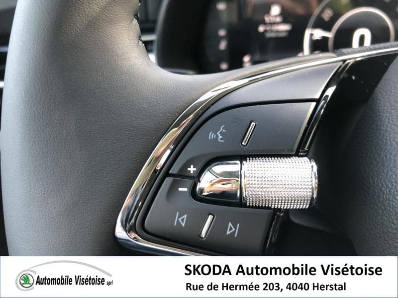 Skoda Kamiq Ambition - 14