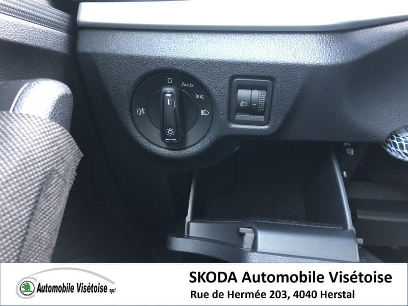 Skoda Kamiq Ambition - 10