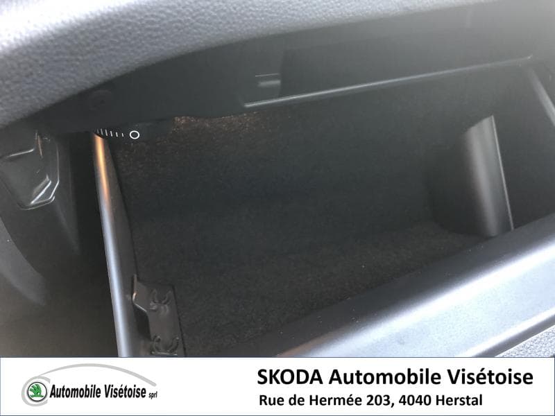 Skoda Octavia Ambition - 30
