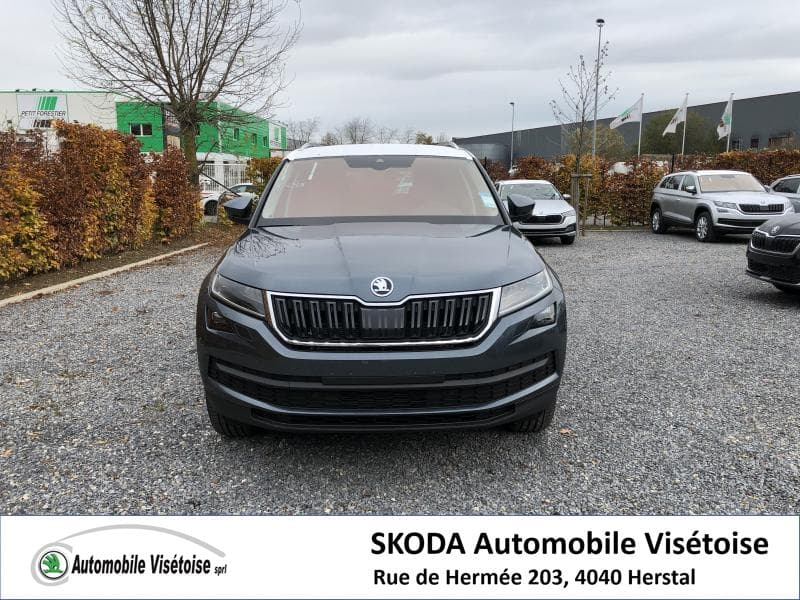 Skoda Kodiaq Style - 1