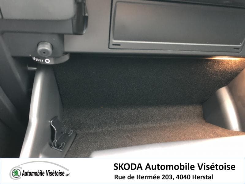 Skoda Kodiaq Style - 29