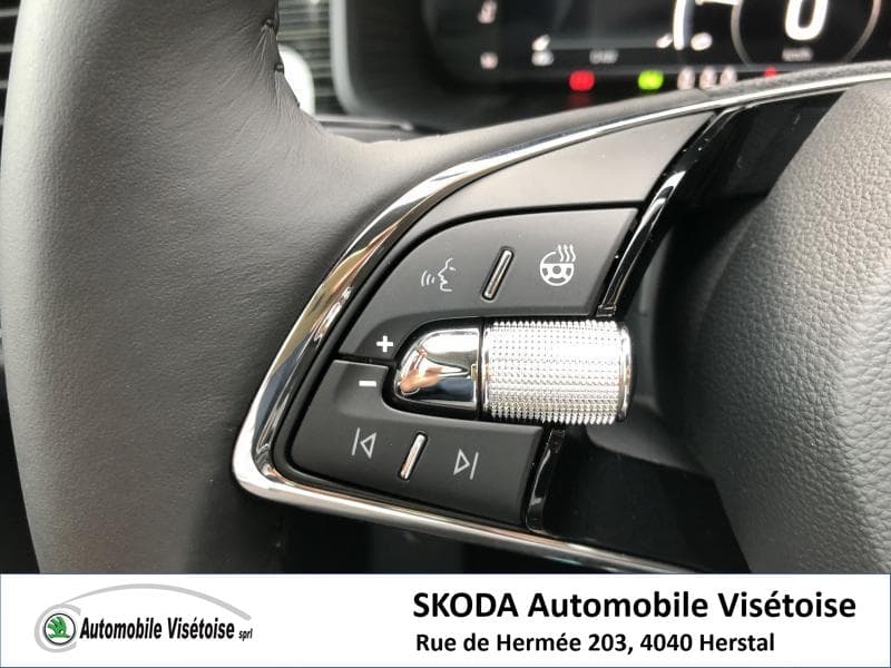 Skoda Kodiaq Style - 21