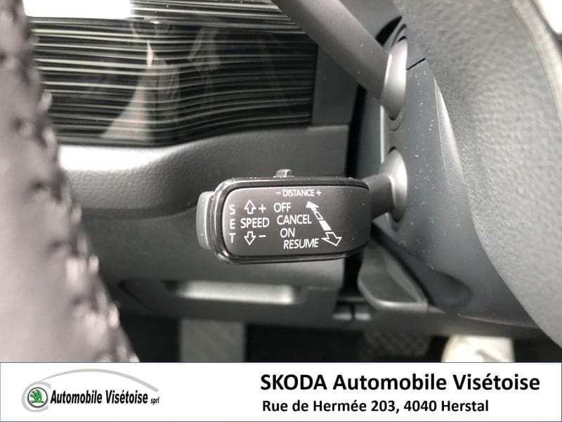 Skoda Kodiaq Style - 20