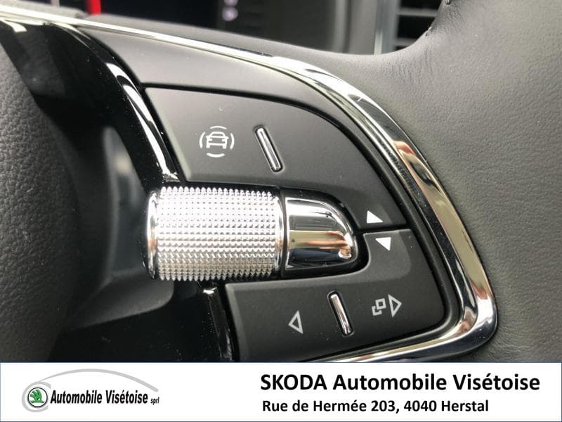 Skoda Karoq Ambition - 16