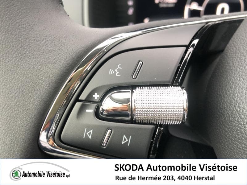 Skoda Karoq Ambition - 15