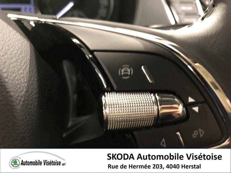 Skoda Fabia III Ambition - 12