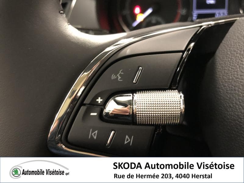 Skoda Fabia III Ambition - 13