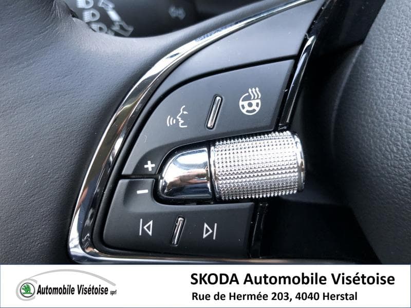 Skoda Kodiaq Style - 30