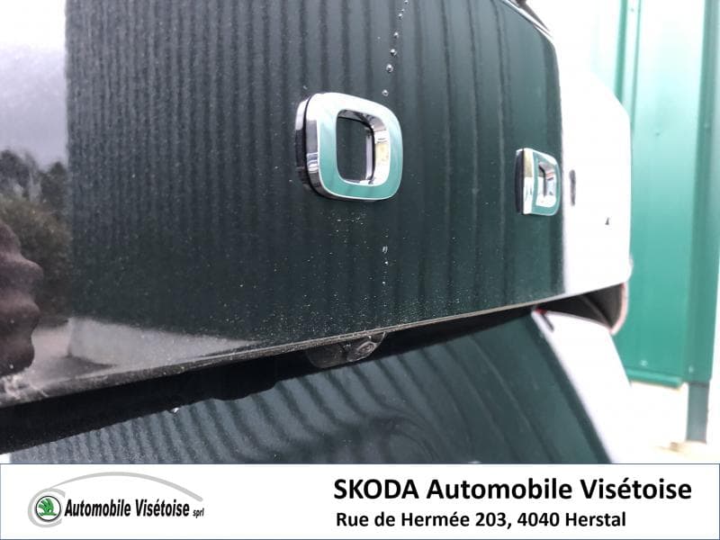 Skoda Kodiaq Style - 8